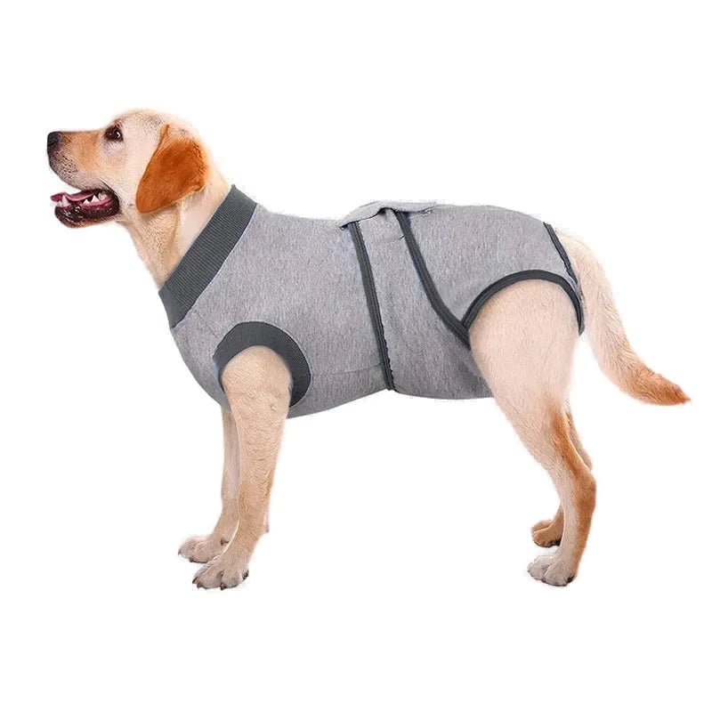 Dog Recovery Suit — Breathable Cotton Bodysuit