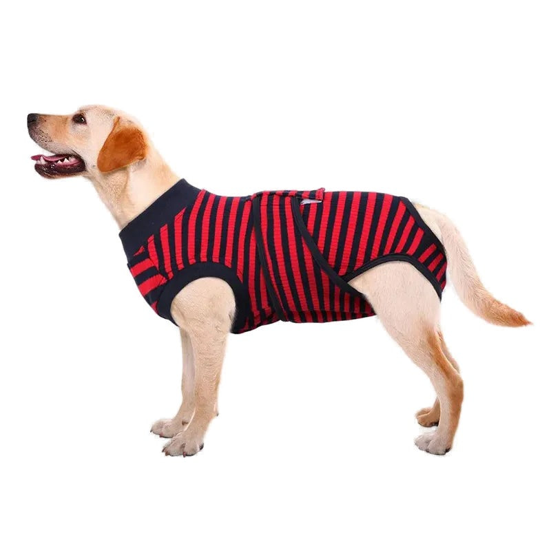 Dog Recovery Suit — Breathable Cotton Bodysuit