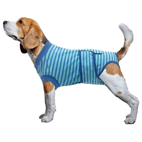 Dog Recovery Suit — Breathable Cotton Bodysuit