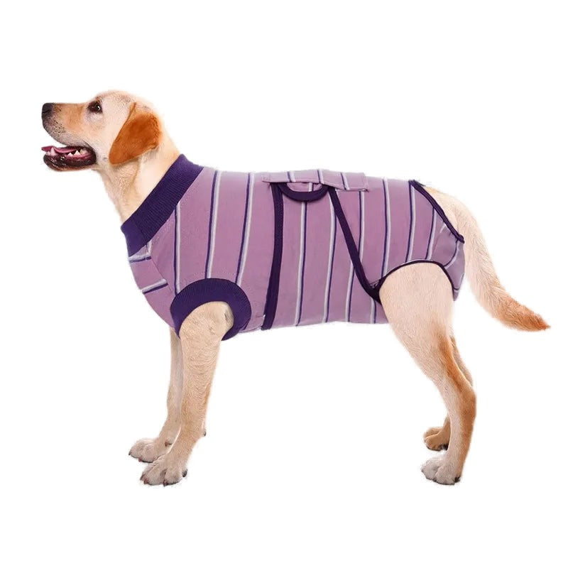 Dog Recovery Suit — Breathable Cotton Bodysuit